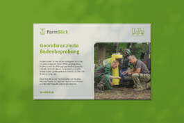 Larissa Ditzel Design