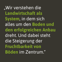 Larissa Ditzel Design