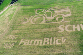 Larissa Ditzel Design