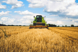 Larissa Ditzel Design