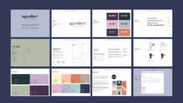 Larissa Ditzel Design