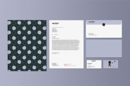 Larissa Ditzel Design