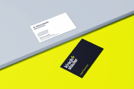 Larissa Ditzel Design