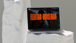 Larissa Ditzel Design