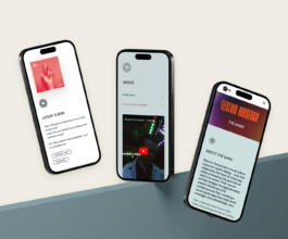 Larissa Ditzel Design