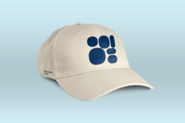 Larissa Ditzel Design