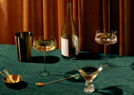 Larissa Ditzel Design