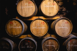 Larissa Ditzel Design