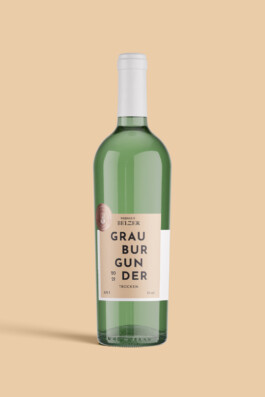 Larissa Ditzel Design