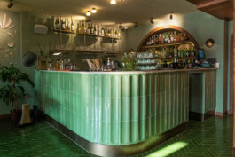 Larissa Ditzel Design